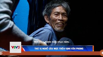 THÚ VỊ NGHỀ CÂU MỰC TRÊN VỊNH VÂN PHONG |VTV5