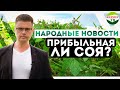 Прибыльная ли соя?