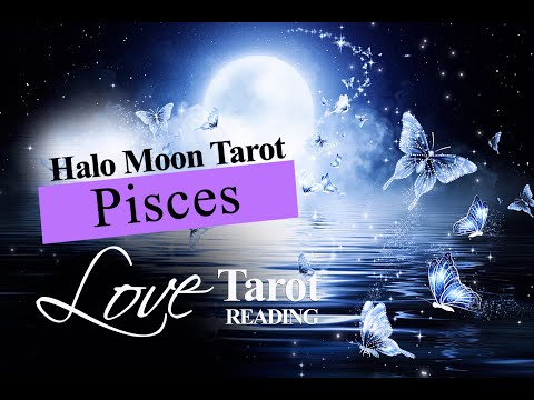 pisces-tarot-love-reading---you-want-reconciliation-but-they're-still-in-a-fighting-mood