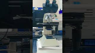 microbiology department #microbiology #laboratory #lab #microbiologyjobs #microbiologist