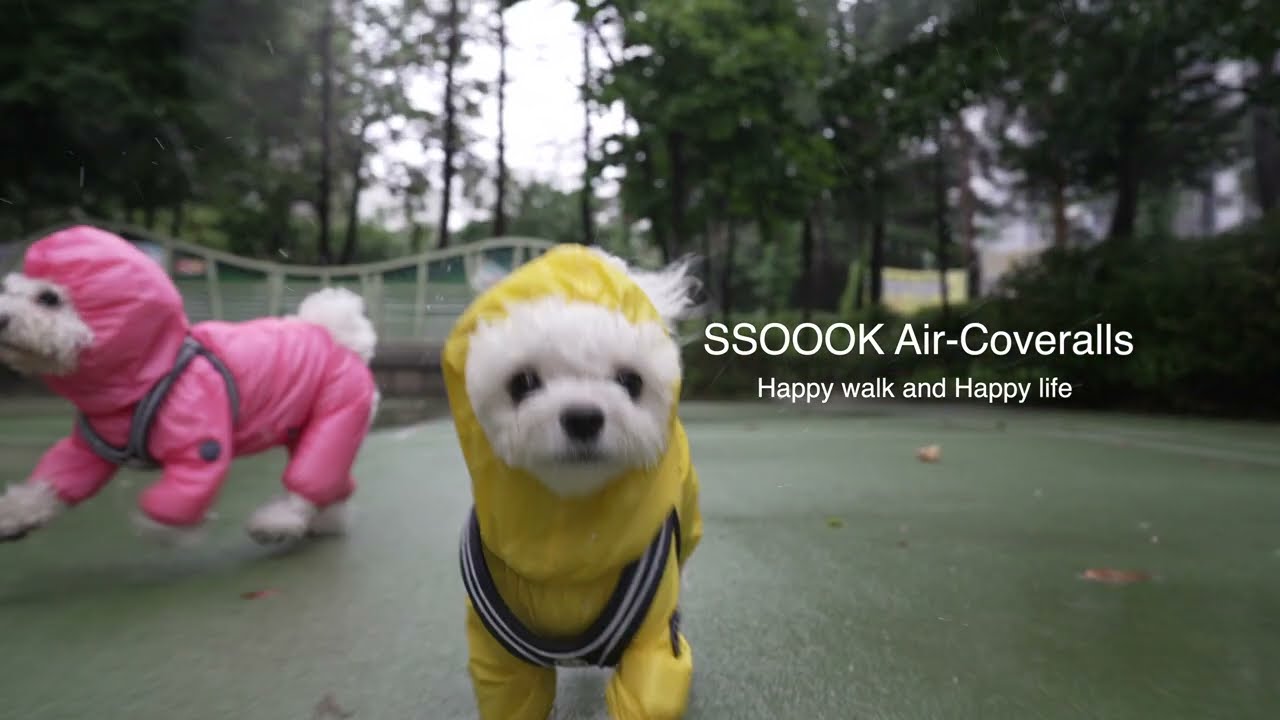 SSOOOK ASIA, EU - Shipping from Korea