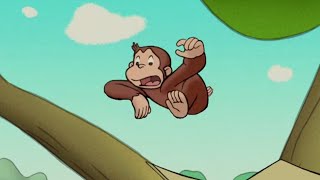 Curious George 🐵George Up A Tree 🐵Kids Cartoon🐵Kids Movies🐵Videos for Kids