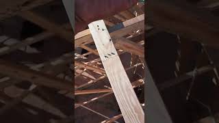 Xoxocotlá Veracruz En Acción