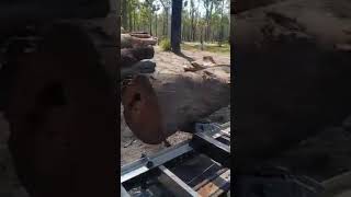 Our New Portable Sawmill Log Loading & Rolling Ramp