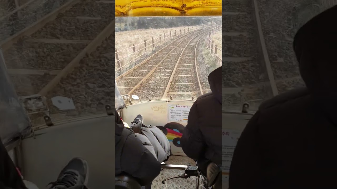 제주 레일 바이크 Jeju rail bike #shorts