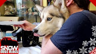 Shelby You Cant Eat That