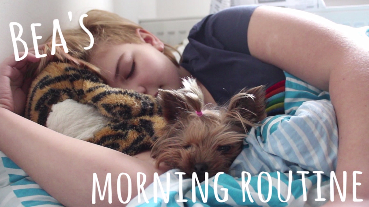 My dog's morning routine | Ranní rutina mého psa