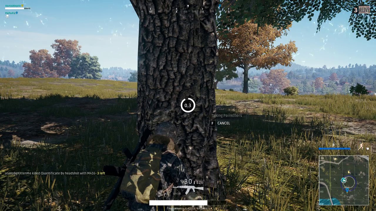 Image result for healing in pubg