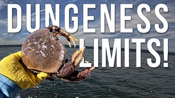 Puget Sound Crabbing: How We Caught LIMITS of Dungeness Crab (Marine Area 8-2) 🦀