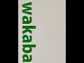 ワカバ 2003年5月31日 日比谷野外音楽堂ライブ手持ちカメラ