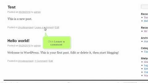 Writing a comment in WordPress by VodaHost web hosting