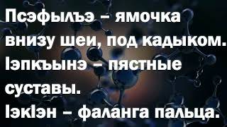 Мухамед Коблев-проект "Части тела на адыгском языке",часть2.