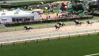 20150830 札幌競馬 4R ゴール前