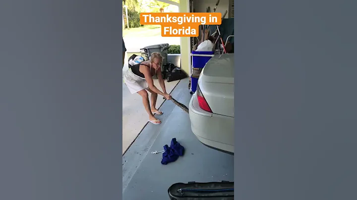 Thanksgiving In Florida With The Python Cowboy - DayDayNews
