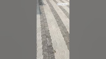 zabra interlock tile #labh_trading_company #interlocking #zabra #youtube2025 #sirsa #rasulpur #tile