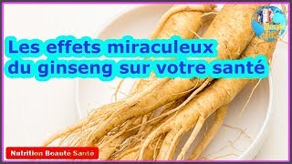 Les effets miraculeux du ginseng sur votre santé|Nutrition Beauté Santé