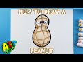 How to draw a peanut
