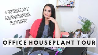 HOUSEPLANT TOUR - OFFICE EDITION + WIEKURT HUMIDIFIER REVIEW | Mini Houseplant Tour 2020 Houseplants