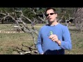 Prospecting and Simplifying