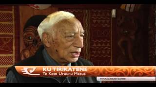 Should Guide Dogs Be Allowed On The Marae?