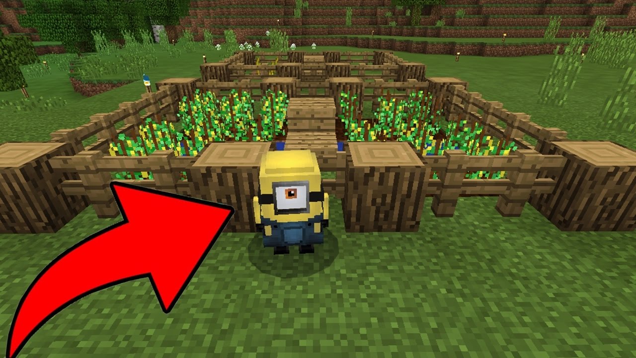 FIZ UMA PLANTAÇÃO DE BANANAS PARA OS MINIONS !! POCKET AVENTURA 4