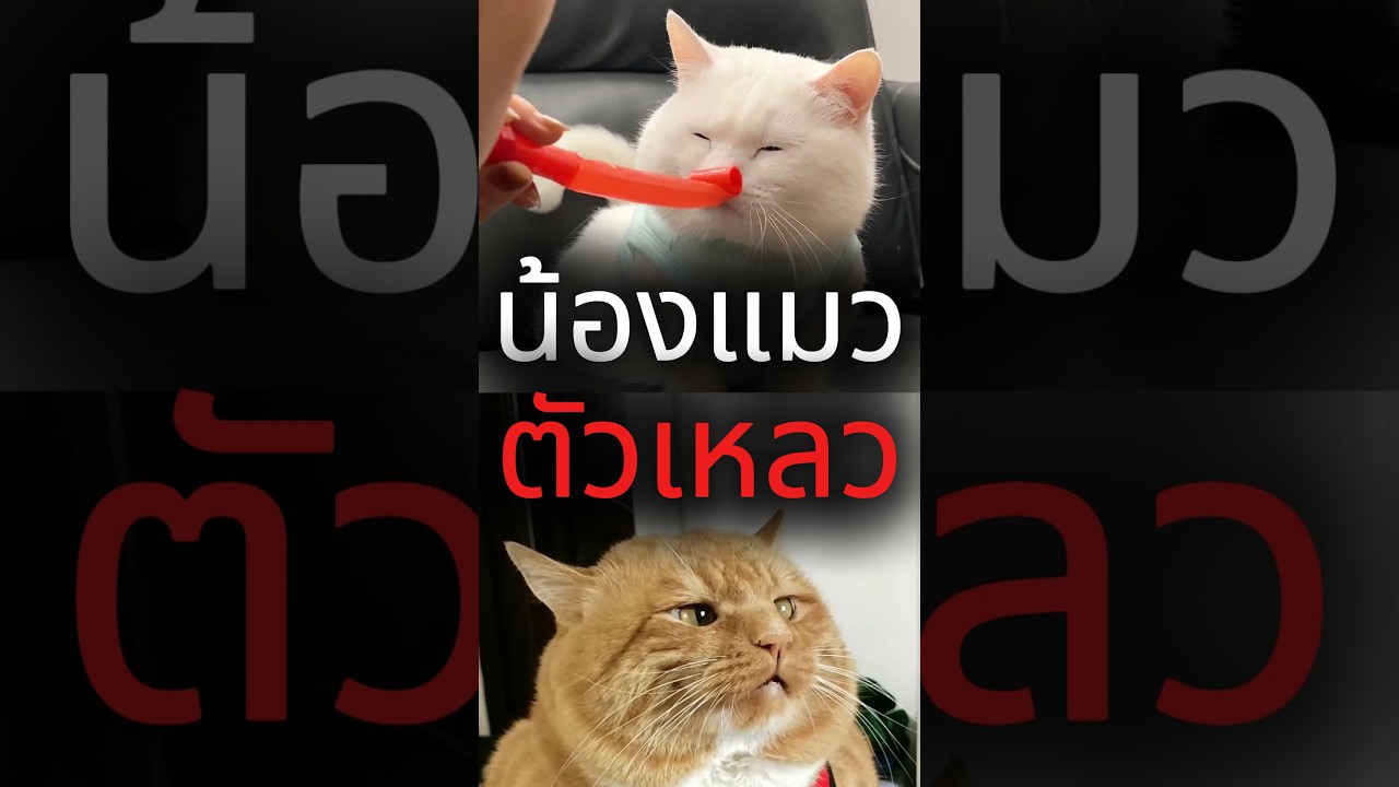 ลูบทีไร...เป็น "ของเหลว" ซะงั้น! #vtuberth #vtuber #funny #kawaii