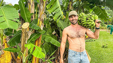 My Journey to being Self Sufficient (Tropical Australian Homestead Tour)