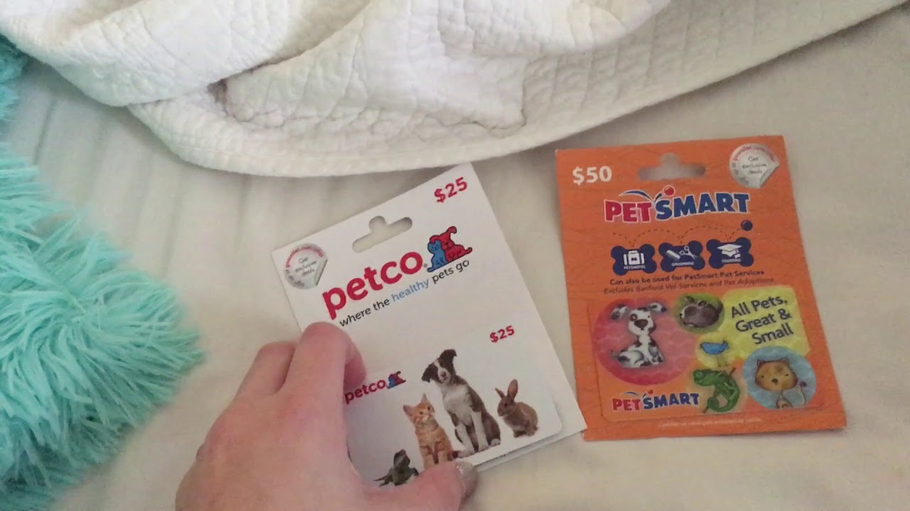 foster-kitten-room-and-giftcards-youtube