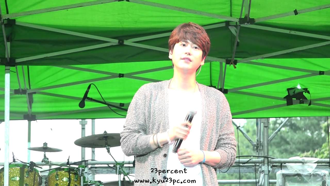 [23percent] 150620 Rainbow Festival '희망은 잠들지 않는 꿈' 규현(kyuhyun) 직캠(fancam)