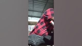 Karoke, Sara tandi tonganni