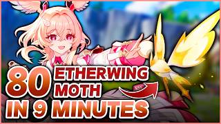 All Etherwing Moth Locations Fast Farming Route Genshin Impact