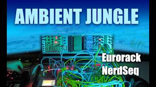 _TAU_ – Seashell Echo Bay | Eurorack Atmospheric Jungle | Y2K CGI Music