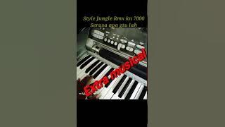 Style house jungle sampling kn7000