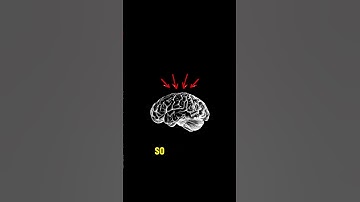 Discover the Secrets of Long Term Memory!
