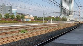 EF510-2号機[富]+EF210-14号機[岡]牽引　高速貨物列車