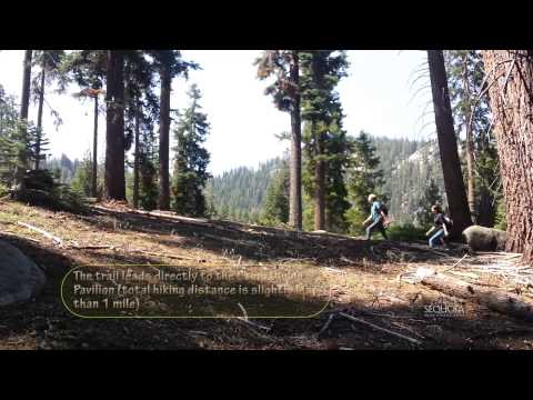 Video: Sequoia High Sierra Camp – průvodce a recenze
