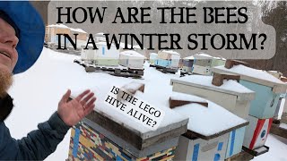 Beekeeping in a Winter Storm.