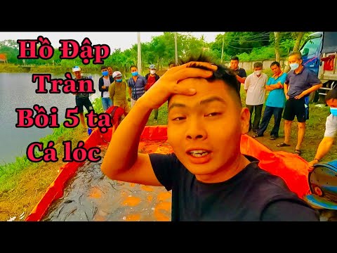 Đi Chim Lợn Hồ Đập Tràn Bồi Nửa Tấn Cá Lóc Cho Ae Vụt
