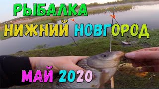 Ловля карася весной Май 2020 #донка#поплавок#фидер#