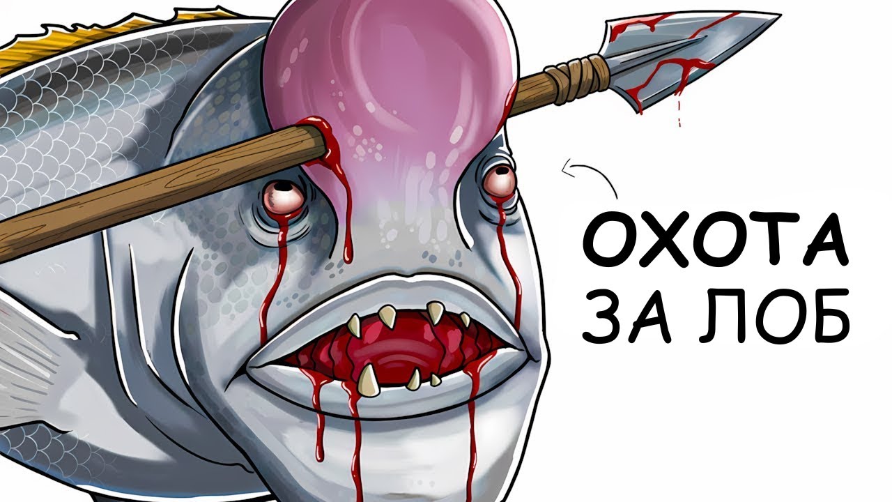 Ты – Рыба кубодай (И ЭТО ВСЯ ТВОЯ ЖИЗНЬ)