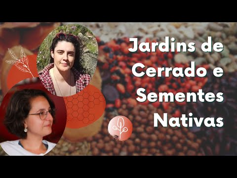 Vídeo: Composições Ecológicas Em Jardins - Geográficas, Climáticas E Outras