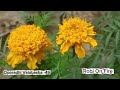  গল্প (Part-49) Oporadhi Valobasha। Robi On Fire