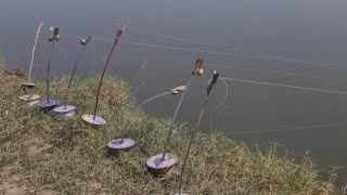 “Secret Fishing Bait Revealed 🐟 | Live Fishing Demo!”