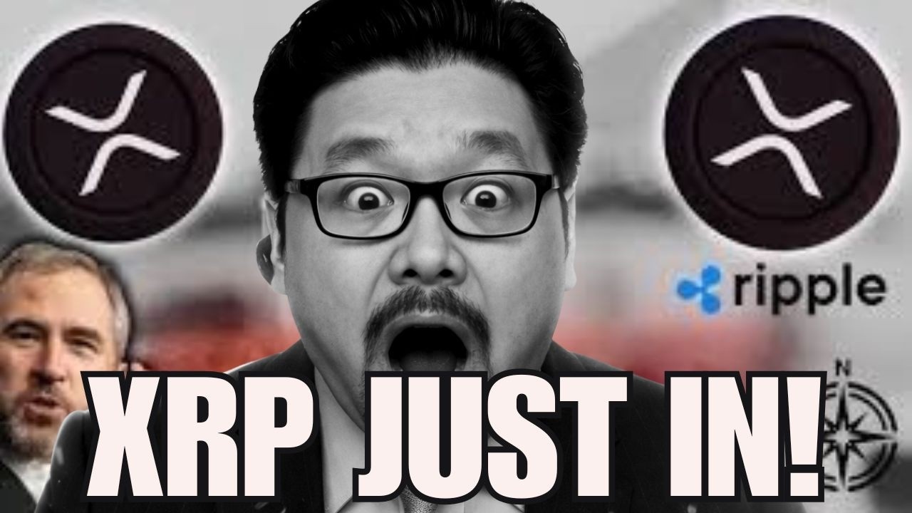 JUST IN: Ripple CEO XRP UPDATE!!! (CLARITY ACT – NORTH STAR) 🚨