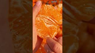 fruit orange #fruit #asmr #skilllearning