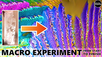 The most COLOURFUL Video You will ever see!