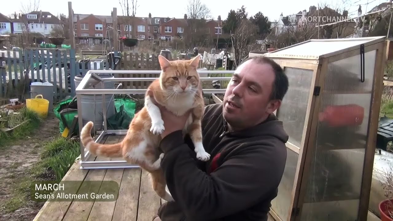 Участок Трусбери-роуд: строительство холодного парника