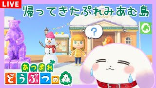 【あつまれ どうぶつの森】久しぶりに島に来たら移住扱いになってた犬【ててまる】