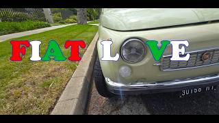 1969 FIAT 500 Francis Lombardi - My Car,... a day in the wild!!! Fiat 500 My Car Francis Lombardi