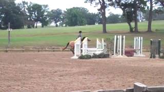 NTHJC Show May 2012- Courage and Pixie